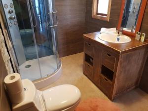 a bathroom with a shower and a toilet and a sink at Cabana Chiloe in Queilén