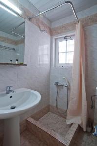 La salle de bains est pourvue d'un lavabo et d'une douche. dans l'établissement Epidavria Hotel, à Tolón
