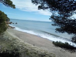 Príroda v okolí hostela