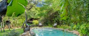 a pool in a garden with two chairs and trees at Little Bush Lodge in Hoedspruit