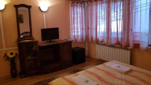 コプリフシティツァにあるDenis Guest houseのベッドルーム(ベッド1台、テレビ、鏡付)