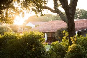 una casa con un tetto di paglia e un albero di Herdade das Barradas da Serra a Grândola