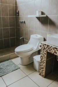 ein Bad mit einem WC, einer Dusche und einem Waschbecken in der Unterkunft Casa de Lis Hotel & Tourist Info Centre in Turrialba