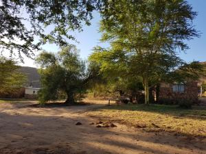 a yard with two trees and a house at Traveller's Rest in Clanwilliam
