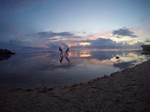 小琉球的住宿－幸福樂民宿，两人在日落时分在海滩上散步