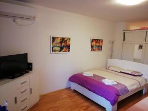 1 dormitorio con 1 cama y TV de pantalla plana en Studio Slavica, en Banja Koviljača