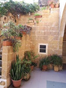 a brick wall with potted plants on it at Gozo Break Farmhouses in Kerċem