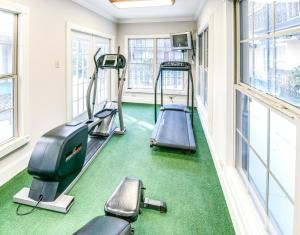 a gym with three treadmills and green carpet at LA Plaza Apartments in Metairie