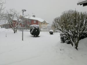 Madarian v zimě