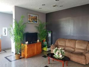 a living room with a couch and palm trees at Executive Inn Pasadena in Pasadena +16 photos