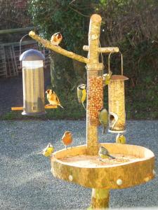 un alimentador de aves con aves comiendo de él en North Headborough, en Haverfordwest