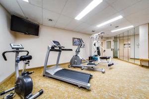 Spordikeskus ja/või sportimisvõimalused majutusasutuses Monte Carlo Inn Brampton