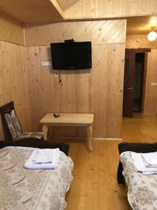 Zimmer mit 2 Betten und einem TV an der Wand in der Unterkunft mijgirya in Usteriki