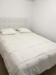 Una cama blanca con dos almohadas encima. en Residence de luxe tout confort en Ginebra
