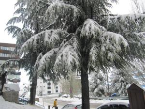 STUDIO SUEÑO NEVADO DELUXE ECOMOMIC v zimě