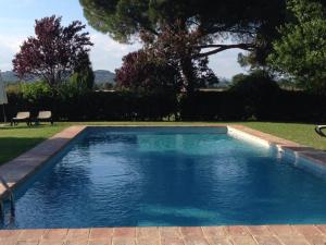 a swimming pool with blue water in a yard at Agriturismo Pian Del Tevere in Torgiano