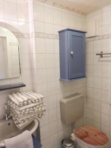 a bathroom with a blue cabinet above a toilet at Hüs Sanskiin Ferienwohnung *Brombelbei* in Süddorf