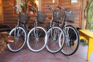 Ciclismo em Santa Maria Pucon ou nos arredores