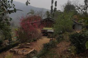 a building with picnic tables in the middle of a forest at Tathagata Farm in Darjeeling