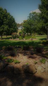 a garden with flowers and trees in a park at Manderley Park Farmstay B&B in Buln Buln