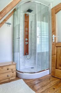 een douche met een glazen deur in de badkamer bij Dominic Boutique - Casa Mare in Cloaşterf
