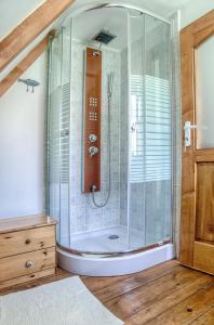 a shower with a glass door in a bathroom at Dominic Boutique - Casa Mare in Cloaşterf
