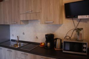 Kuchyň nebo kuchyňský kout v ubytování 3MÙZEN apartments