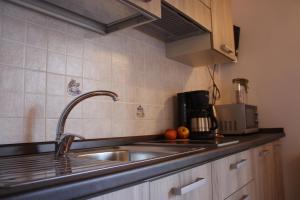 Kuchyň nebo kuchyňský kout v ubytování 3MÙZEN apartments