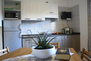Kuchyň nebo kuchyňský kout v ubytování 3MÙZEN apartments
