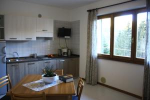 Kuchyň nebo kuchyňský kout v ubytování 3MÙZEN apartments