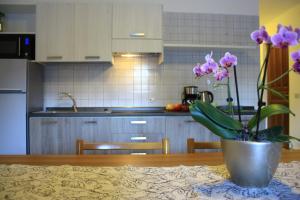 Kuchyň nebo kuchyňský kout v ubytování 3MÙZEN apartments