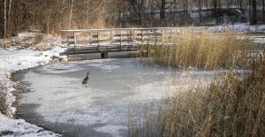 BUEHLERHOF Agriturismo, Obst-&Weingut, Urlaub mit Hund, Bauernhof, Brixen v zime