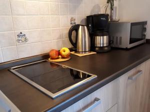 Kuchyň nebo kuchyňský kout v ubytování 3MÙZEN apartments