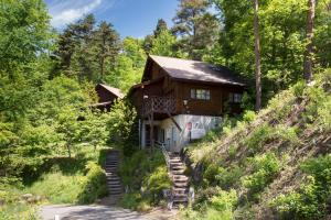 安曇野的住宿－Izumigo AMBIENT Azumino Cottage，树林中的山丘上的房子