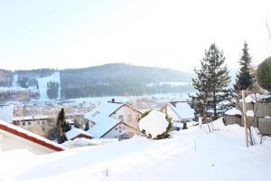 Zollernalb-Apartment under vintern