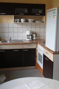 GondershausenにあるZur alten Schreinereiのキッチン(黒いキャビネット、白い冷蔵庫付)