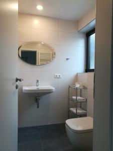a bathroom with a sink and a toilet and a mirror at H41 Inn Hotel Garni Freiburg in Freiburg im Breisgau +35 photos