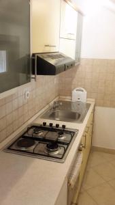 Kuchyňa alebo kuchynka v ubytovaní Apartments Branko