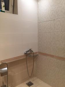 La salle de bains est pourvue d'une douche avec un pommeau de douche. dans l'établissement Crown Street Garden Studio, à Belgrade