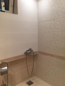 a shower in a bathroom with a shower head at Crown Street Garden Studio in Belgrade