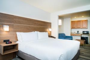 a hotel room with a large bed and a kitchen at Holiday Inn Express & Suites Rocky Mount Smith Mountain Lake, an IHG Hotel in Rocky Mount