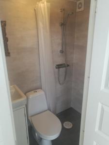 a small bathroom with a toilet and a shower at Åsarna Hills Holiday Home Stillingsön in Stillingsön