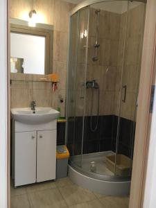 a bathroom with a shower and a sink and a shower at Plażowa 5 in Rowy
