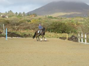 Gallery image of BunkHouse - Letterfrack Farm in Letterfrack