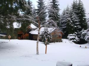 un árbol en la nieve frente a una casa en Búngalows Osa Mayor en Villa La Angostura