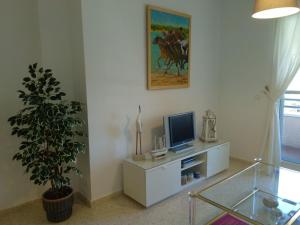 TV a/nebo společenská místnost v ubytování Apartamento Estrella