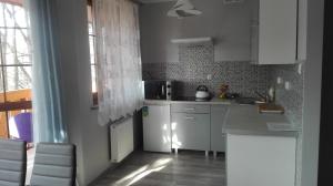 Kuchyňa alebo kuchynka v ubytovaní Apartamenty "MILENA"