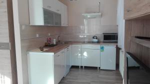 Kuchyňa alebo kuchynka v ubytovaní Apartamenty "MILENA"