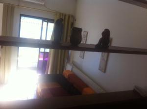 a shelf in a room with two dolls and a window at Bahia Flat in Salvador +10 photos