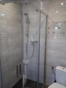 a shower in a bathroom with a toilet at Dom Jurajski in Częstochowa